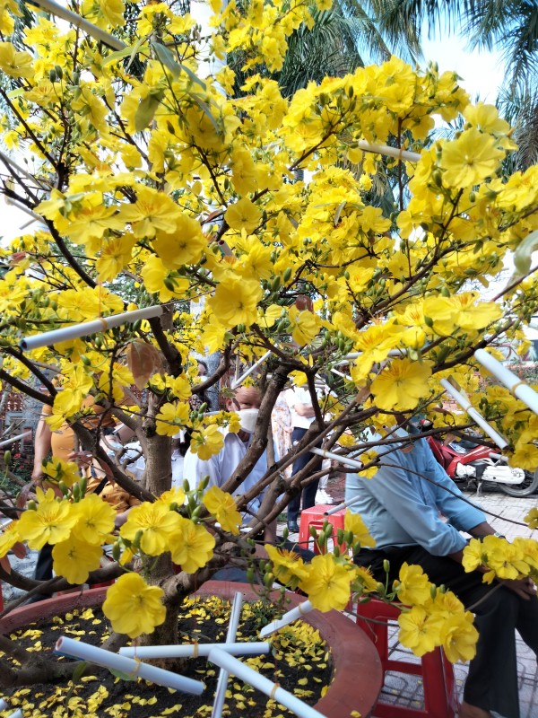 IMG20220201083818.jpg