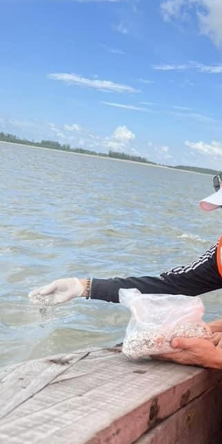 Lợn cợn mớ thịt da trong nhiệt lớn_Thân của em giờ đã hoá nhuyển nhừ_ Có còn nhìn hay nghe được thực hư..!?_ Tiếng sôi ruột của thế gian nín, nhịn.