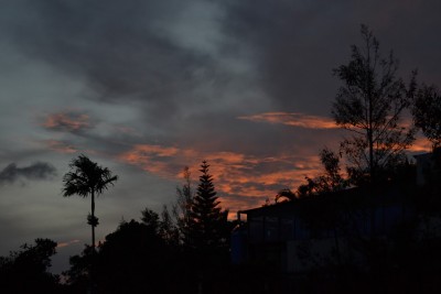 DSC_0247.JPG