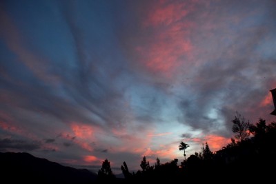 DSC_0265a.jpg