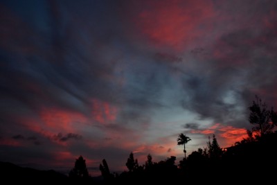 DSC_0272a.jpg