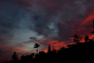 DSC_0273a.jpg