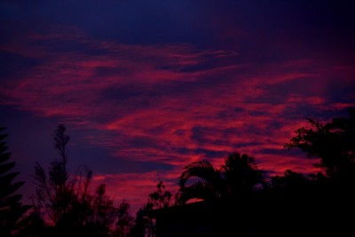 DSC_0277a.jpg
