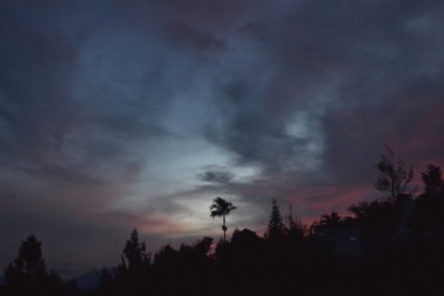 DSC_0280a.jpg