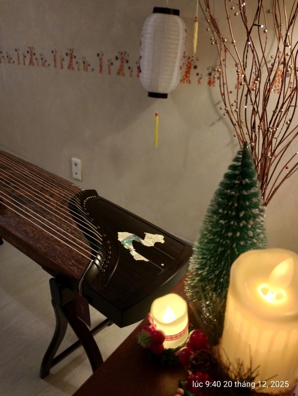 IMG20251220094036.jpg