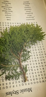 08331947-03E9-49C7-851D-3EB8780F4CF0.jpeg