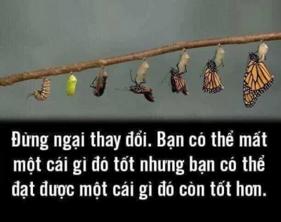 Bắt buộc kinh qua đau khổ thì cuộc đời may ra được cánh bay....