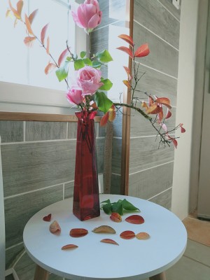 IMG20201018100926.jpg