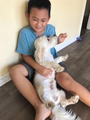 Chủ nhỏ mới cũng yêu em lắm.