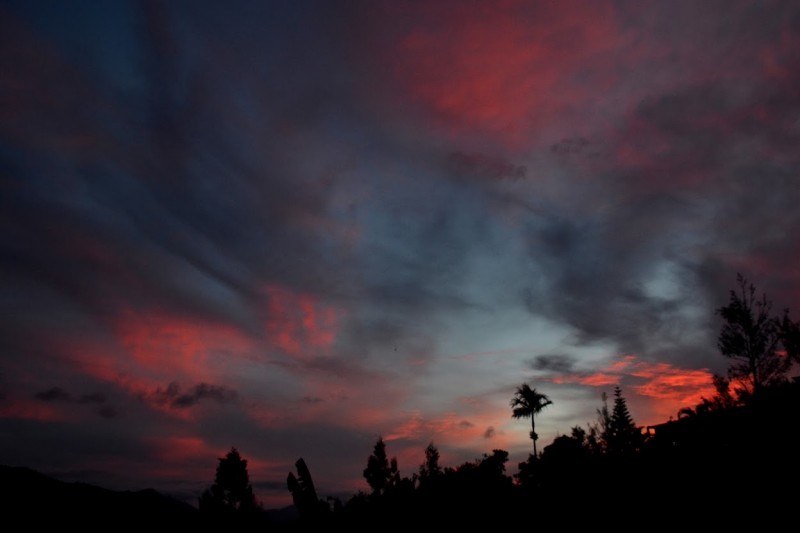 DSC_0272a.jpg