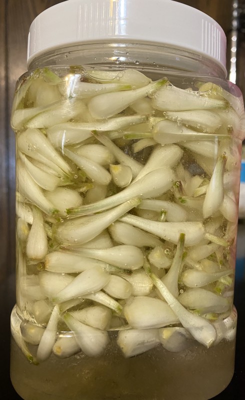 Đã hoàn thành đường, giấm.. Chua, ngọt, nồng... quyện nhau.