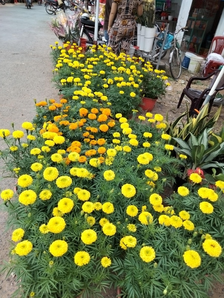 IMG20210211083309.jpg