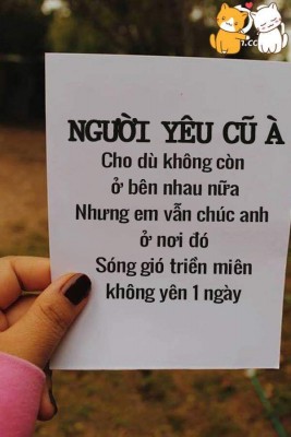 Thử tiếp coi.